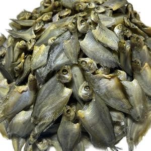 

SEPAT CURAI KERING – Ikan Asin Khas, Rasa Kuat & Lezat
