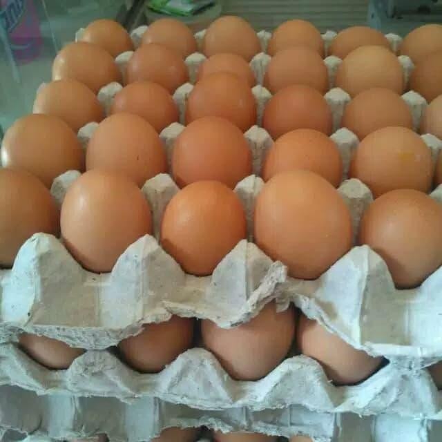 

Telur Ayam / Telor Ayam Satu Tray Isi 30 Butir