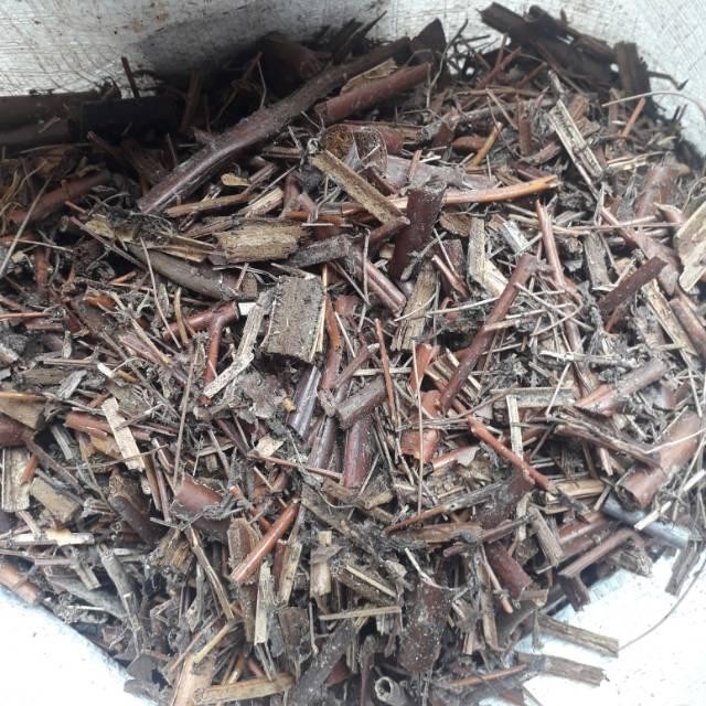 JTTOP" ANDAM MEDIA TANAM ANDAM BIASA 1 KARUNG