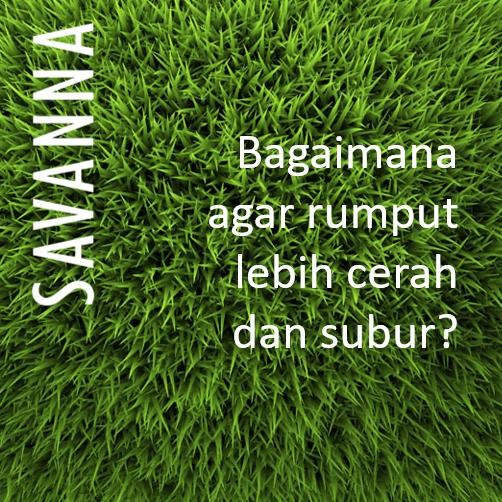 JTTOP" PUPUK RUMPUT ORGANIK ALAMI, RUMPUT GAJAH, RUMPUT GAJAH MINI, PENYUBUR TANAH SAVANNA 100 ML