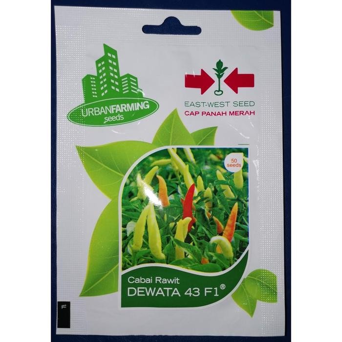 JTTOP" BENIH PANAH MERAH - CABE DEWATA 43 F1