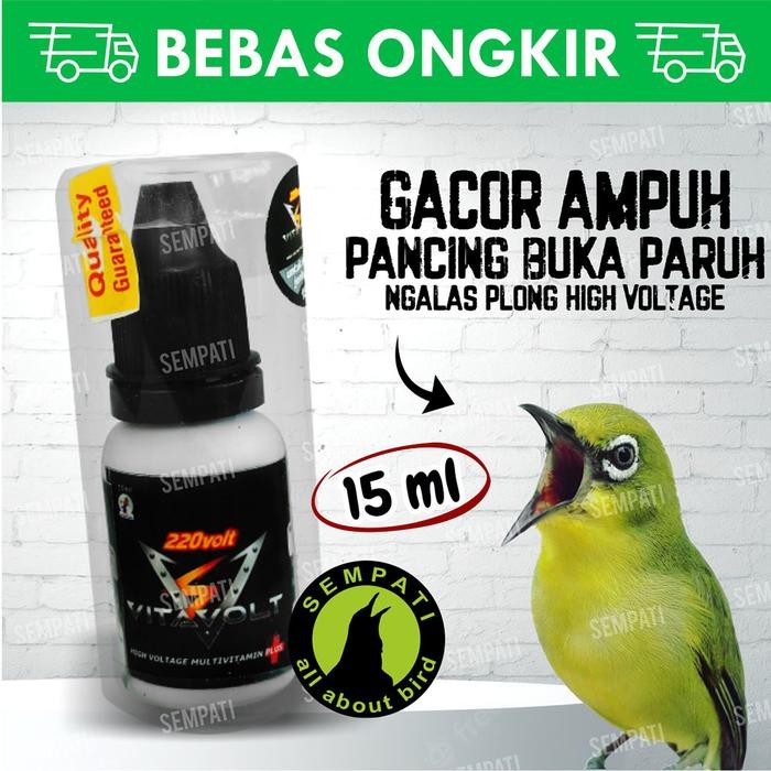 VITAVOLT 220 VOLT HIGH VOLTAGE VITAMIN BURUNG PLECI MURAI GACOR VTVLT