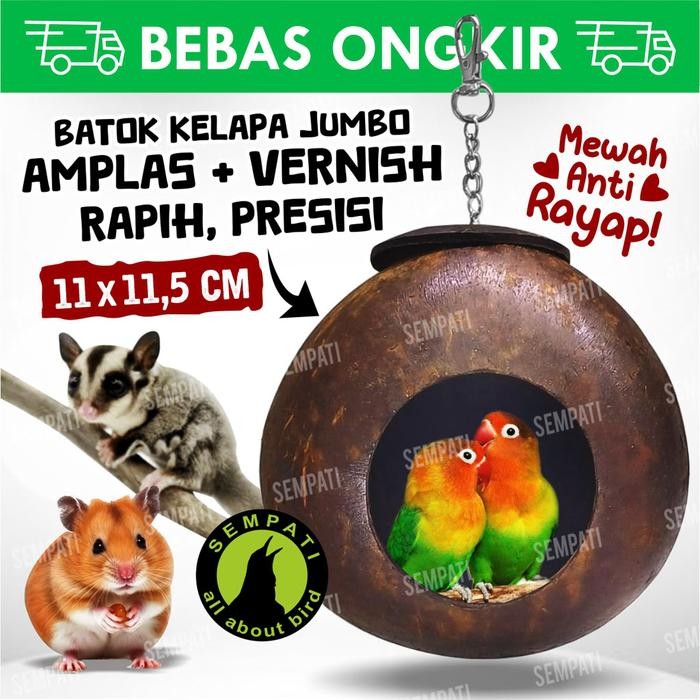 GLODOK BATOK RUMAH SARANG BERTELUR BURUNG LOVEBIRD KENARI CIBLEK PLECI