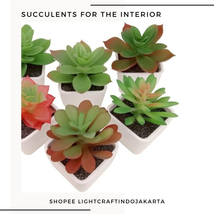 (Allthebest) KAKTUS SUKULEN Tanaman Kaktus Palsu Imitasi Plastik Mini