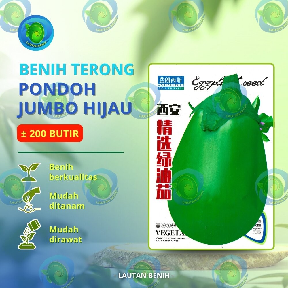 ± 200 BUTIR BENIH TERONG PONDOH JUMBO HIJAU KEMASAN PABRIK IMPORT