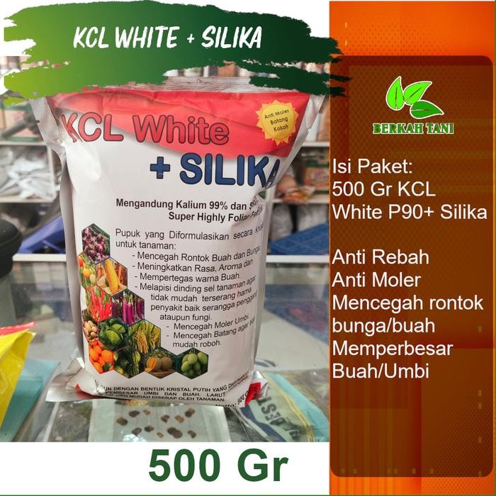 Kcl White Plus Silika 500 Gram Anti Rebah Batang