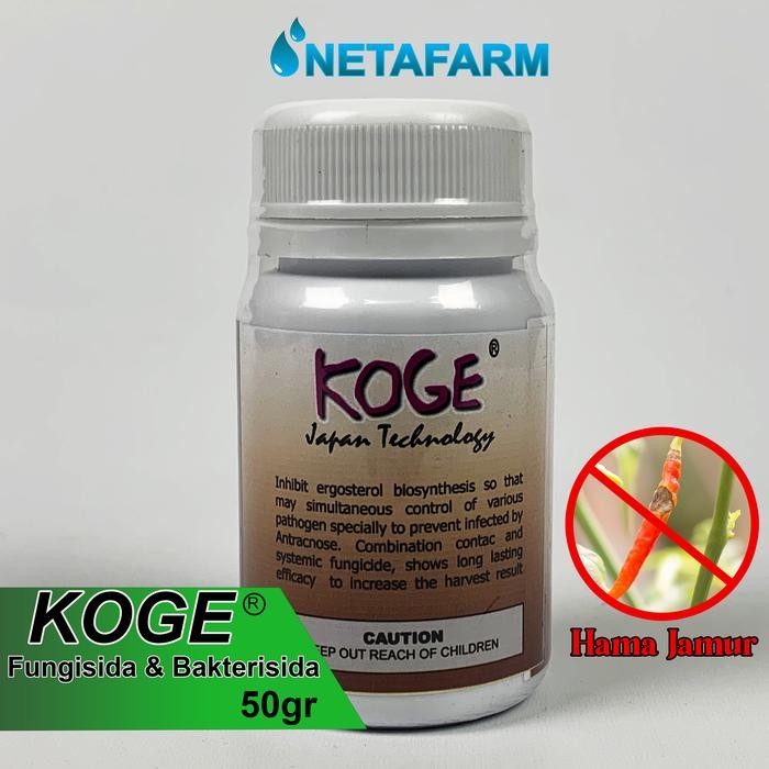 Fungisida Bakterisida KOGE Anti Busuk Cabe - 50gr
