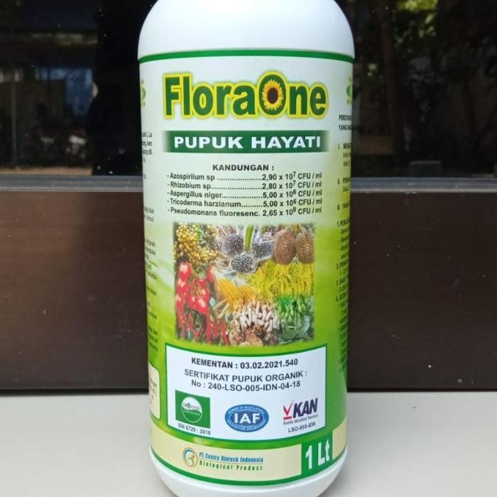 Terlaris Pupuk Pgpr, Rhizobium Sp Cair untuk kedelai, Pupuk Hayati Cair SALE