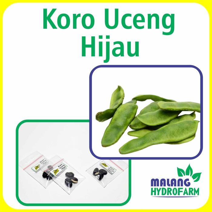 Benih Koro Uceng Hijau Unggulan Berkualitas biji bibit repack komak kara suceng melinjo sayur