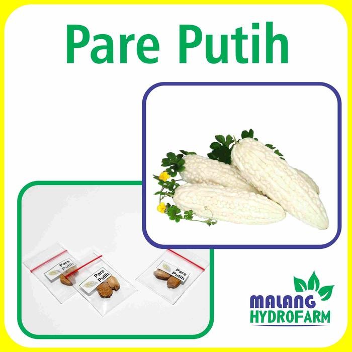 Benih Pare Putih Unggulan Berkualitas biji bibit repack paria bodas hijau hydroponik hidroponik