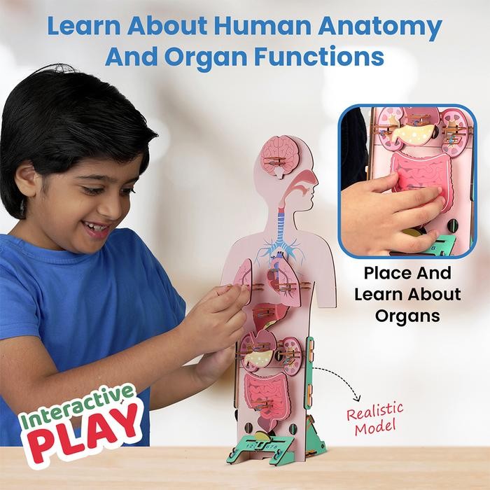 Toys Kingdom Smartivity Human Body - Mix toy kids toy koleksi mainan anak permainan bongkar pasang