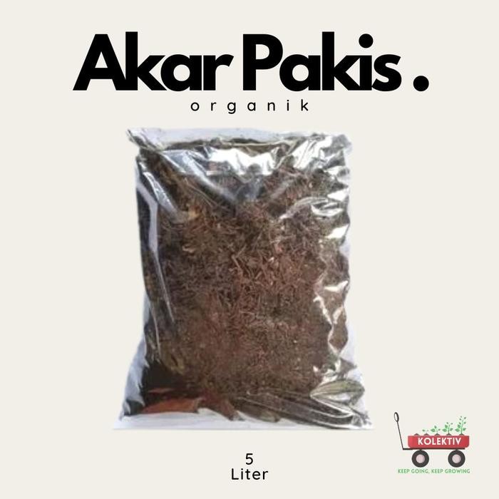 Akar Pakis Cacah Media Tanam Anggrek *