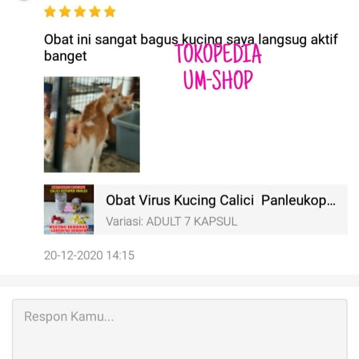 Obat Antivirus Kucing Calici Distaper Virus Panleukopenia