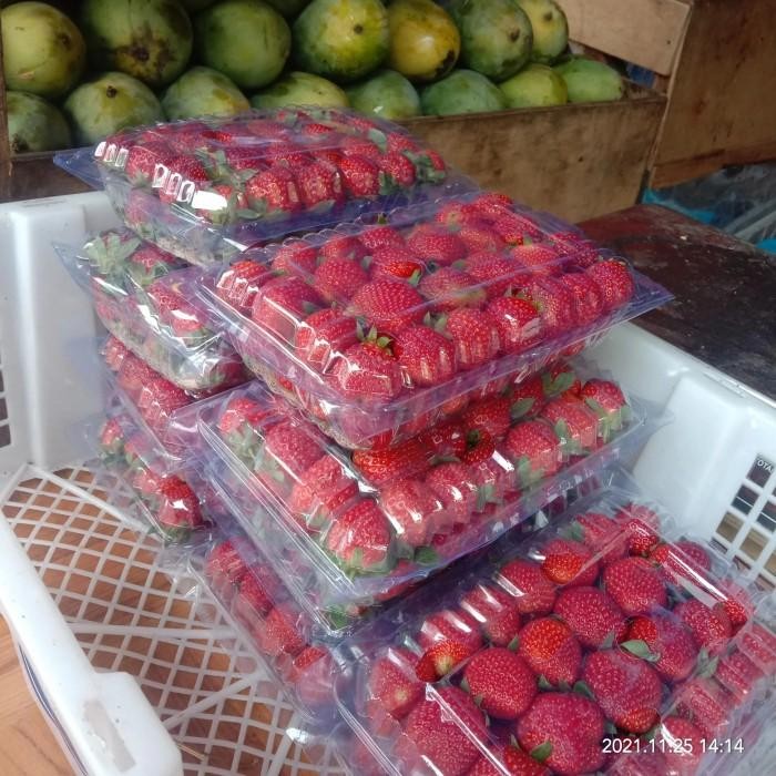 

Stroberi strawberry segar manis jumbo kemasan 500 gram New
