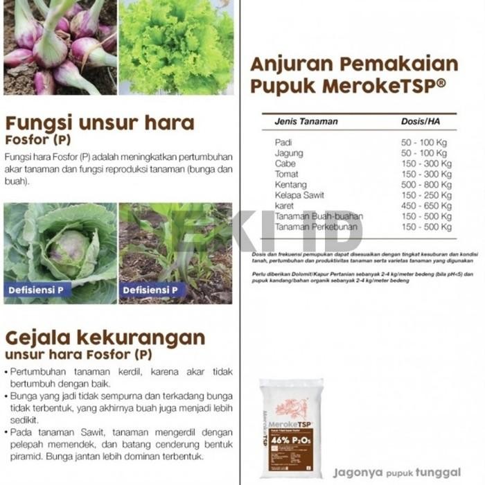 TSP Meroke 46% 50 Kg via Instant Pupuk Pospat Penguat Akar Tanaman