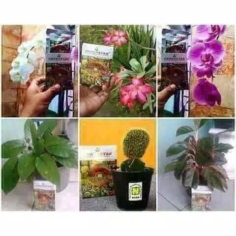 Pupuk Greenstar Original Nasa _ pupuk segala jenis tanaman