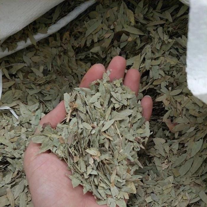 

Teh Jati Cina Alami Kemasan 1 Kg Lam88