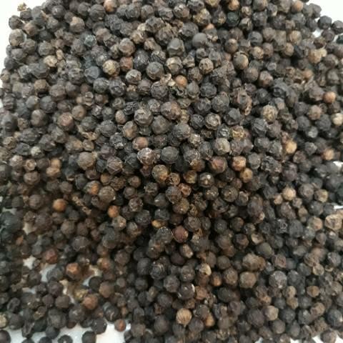 

LADA MERICA HITAM BULAT BANGKA BELITUNG 250 GRAM