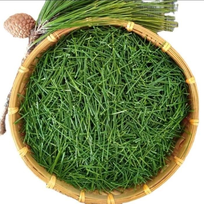

Promo!! Promo Teh Daun Pinus,Fresh Organik Wild Pine Needle Tea,Per 250 Gram