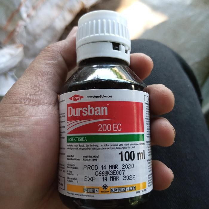 Dursban(Insektisida)