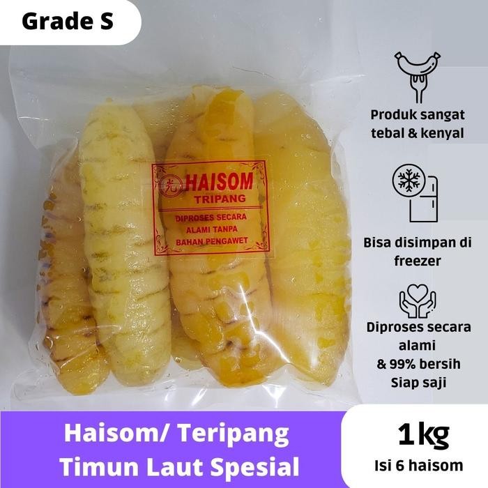 

TERIPANG HAISOM Gosok Spesial 1kg Bangka Belitung Basah Hoisem Tripang Seafood Frozen Instan Makanan