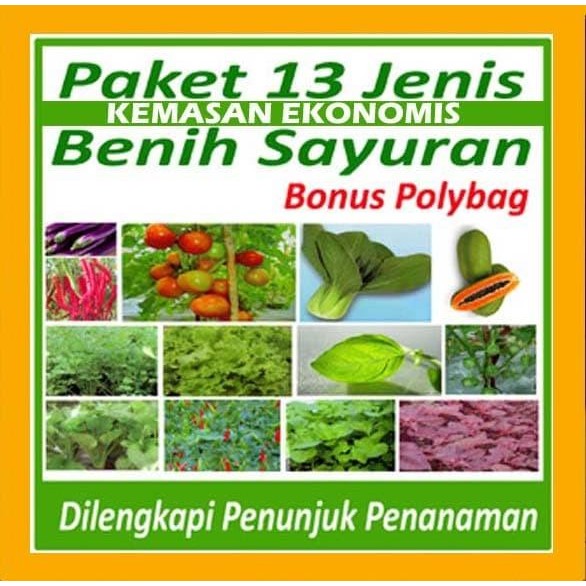 

(Expert) Paket Benih Sayuran Terbaik cocok untuk tanaman dalam pot