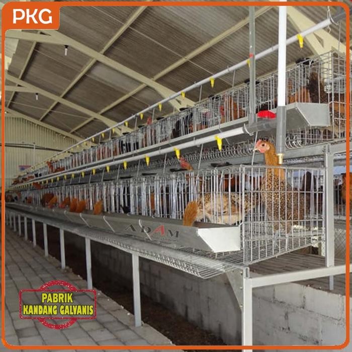 Kandang Baterai Ayam Petelur Besi Galvanis Uk Small 4 Pintu Isi 8 Ekor