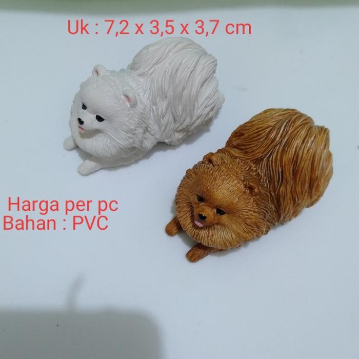 Miniatur Anjing Pomeranian Miniatur Anjing PomPom Coklat Putih