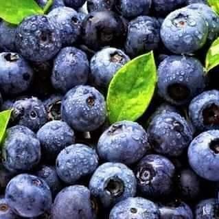 

Glx blueberry frozen