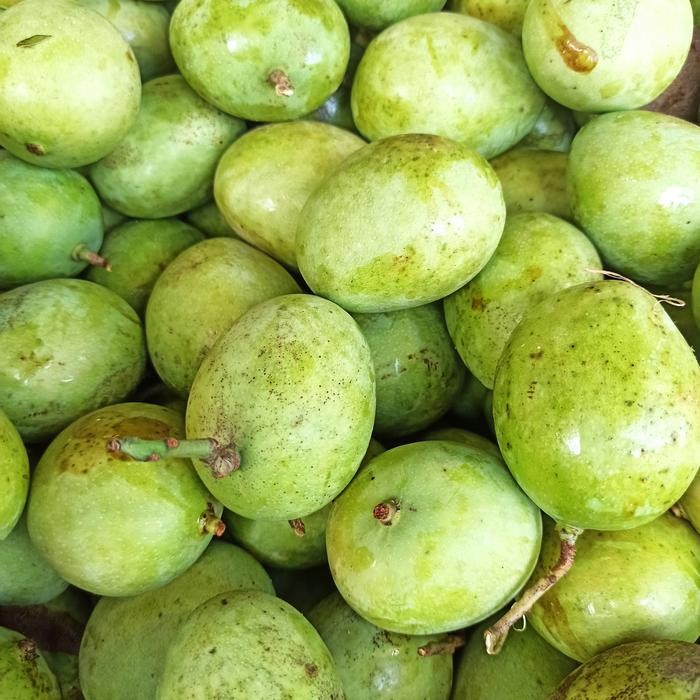 

Glx Mangga Muda Rujak 1kg
