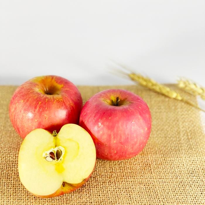 

Glx Apel Fuji Manis Sekilo isi 7-8 buah