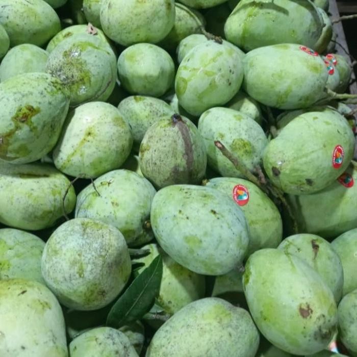 

Glx mangga harum manis 1 kg Buah