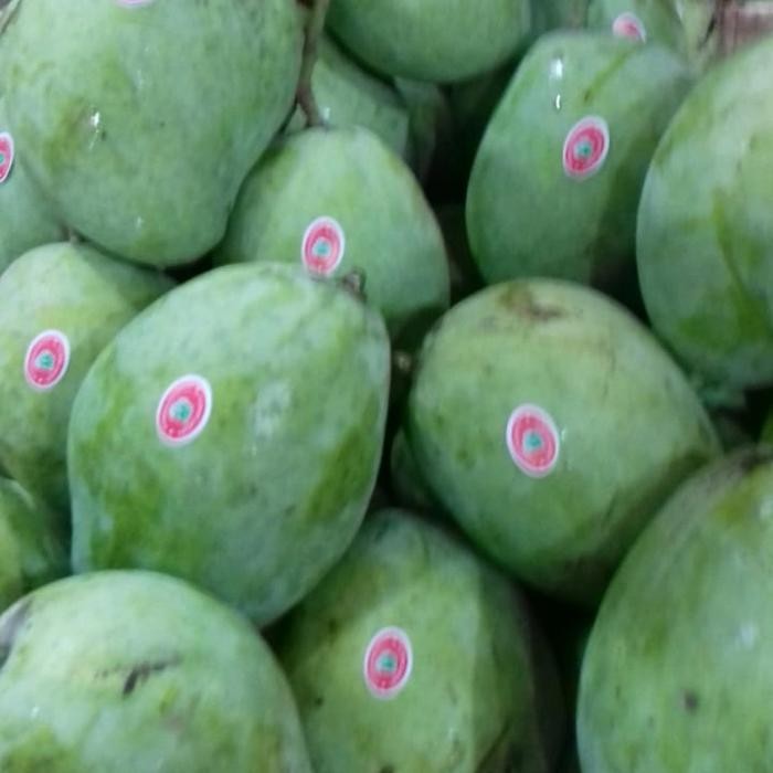 

Glx mangga indramayu