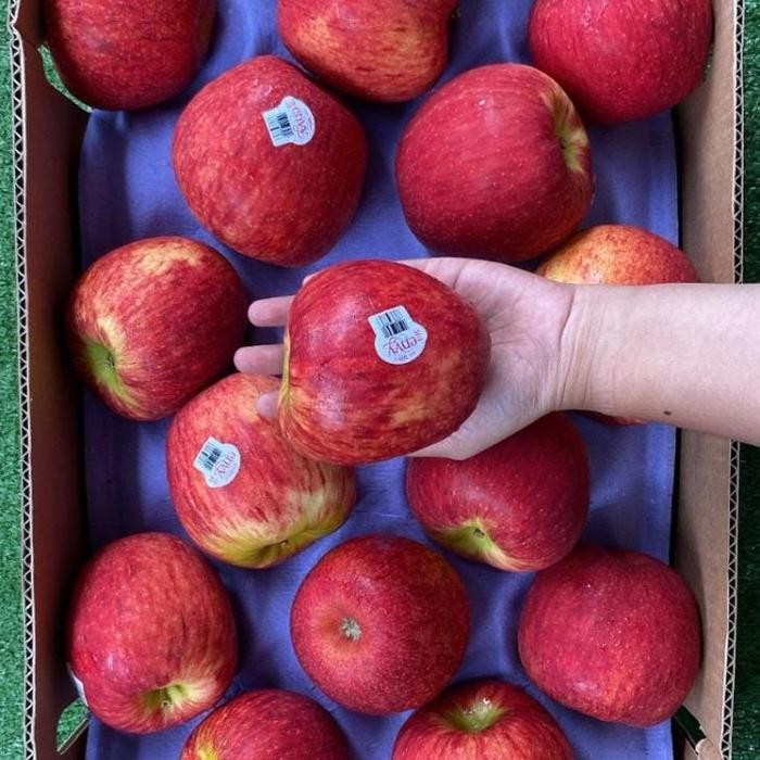 

Glx Apel Envy Premium