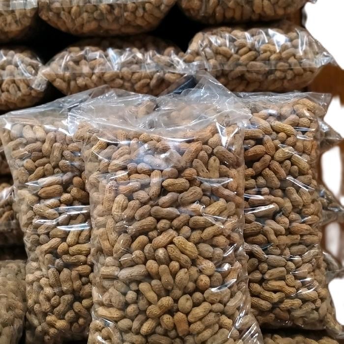 

ASLI Kacang Kulit Sangrai Khas ra Kualitas Super Halal 1kg - Gurih, Manis, dan Renyah - Kering,