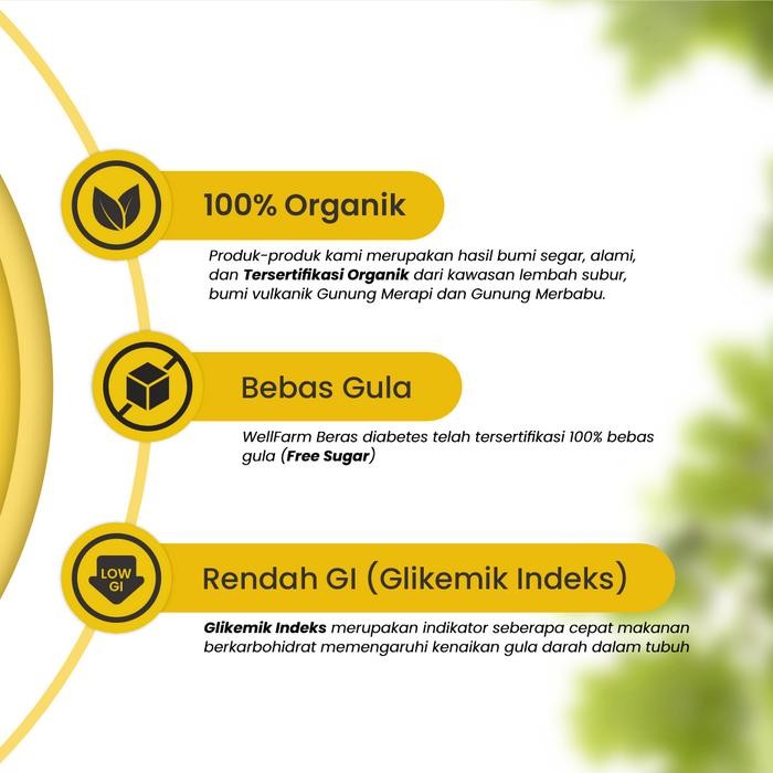 

Beras Organik Diabets Wellfarm kemasn 1 Kg U/ Diabetes
