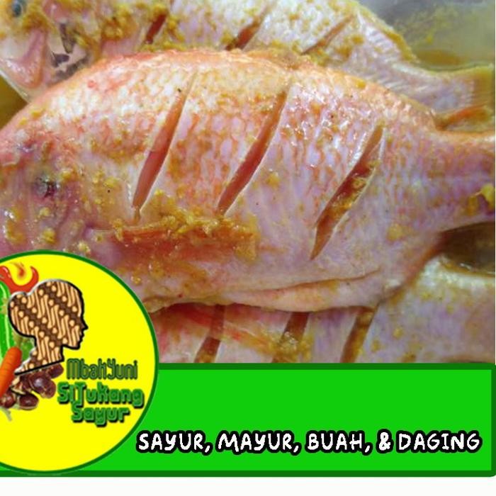 

Gdh ikan nila ungkep bumbu kuning 500gr