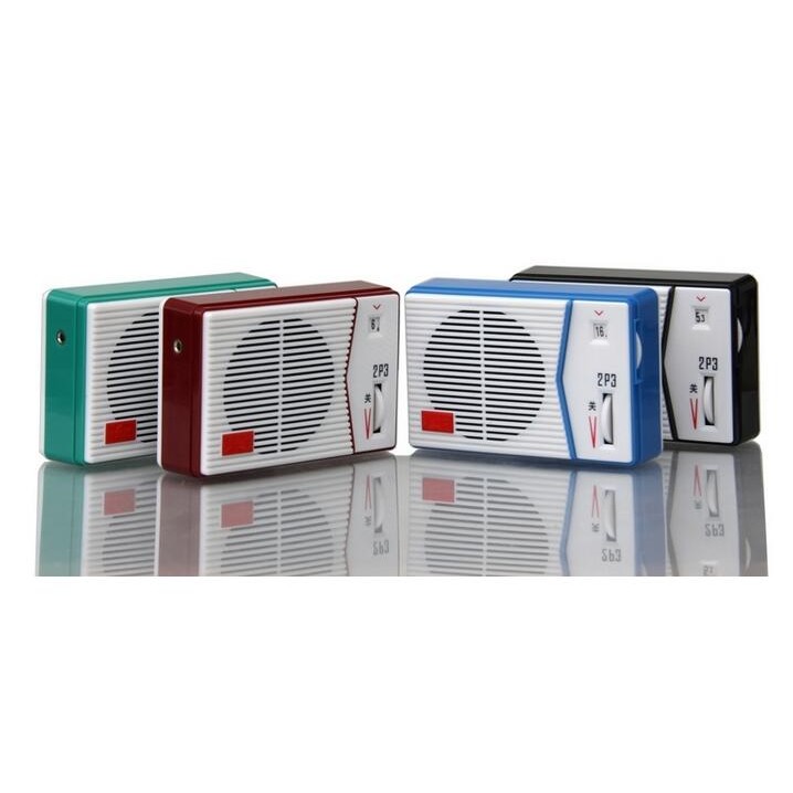 Tecsun 2P3 AM / MW Radio Receiver DIY Kit - MAKE YOUR OWN AM RADIO DIY Kits