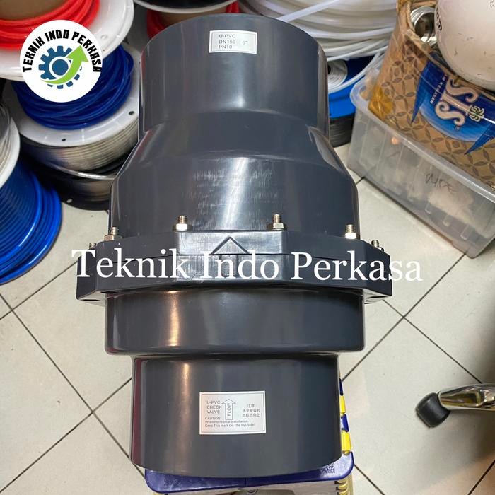 Swing check valve pvc 6" inch