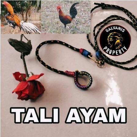 tali kaki ayam jago / bagkok / tali ayam hutan / tali sulam kaki ayam bangkok / aduan *