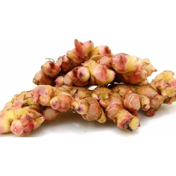 

Jahe Merah Sumatera barang segar dan asli 500gram