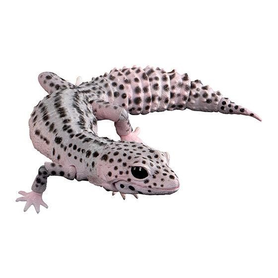 Ikimono leopard gecko Premium new - super max snow bandai figure