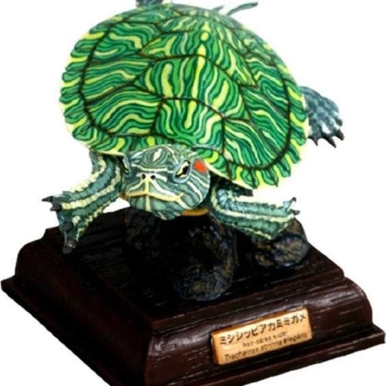 NTC Japanese turtle set lengkap isi 6 - kura brazil penyu hijau baby tukik sisik ocadia daun figure 