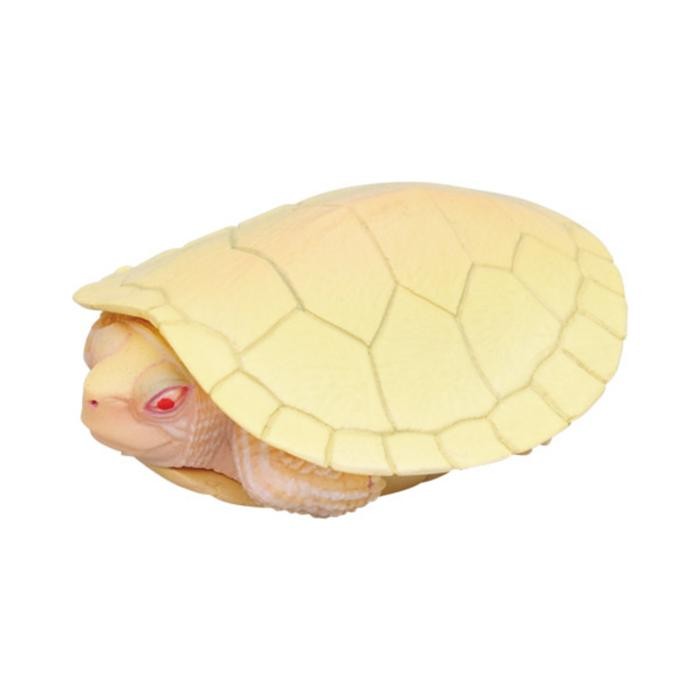 NTC nature technicolor magnet figure red eared slider turtle kura res brazil albino - magnet hiding