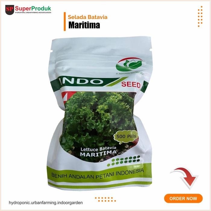 BENIH SELADA MARITIMA 500 PILLS SELADA BATAVIA ENZA INDOSEED