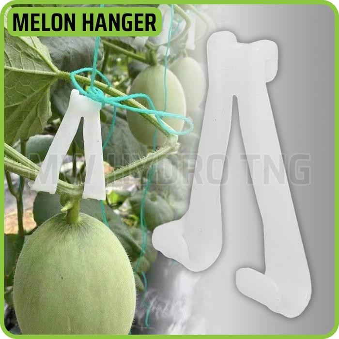 Premium Melon Stalk Support / Penyangga Tangkai Buah Melon