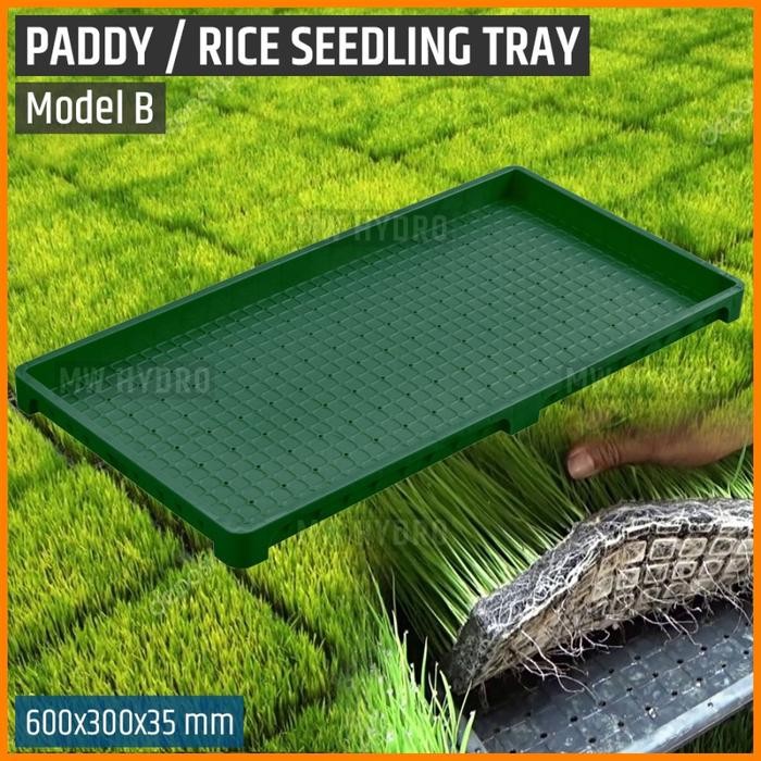 Premium Paddy / Rice Seedling Tray, Tray Semai Bibit Padi / Microgreen - B