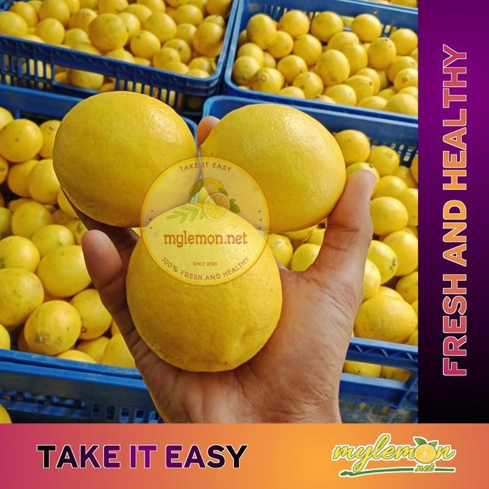 

New Lemon California Fresh 1 Kg / 1000 gram Isi 8-13 Cocok Untuk Infused