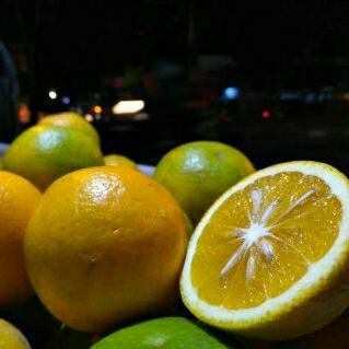 

New jeruk baby java malang