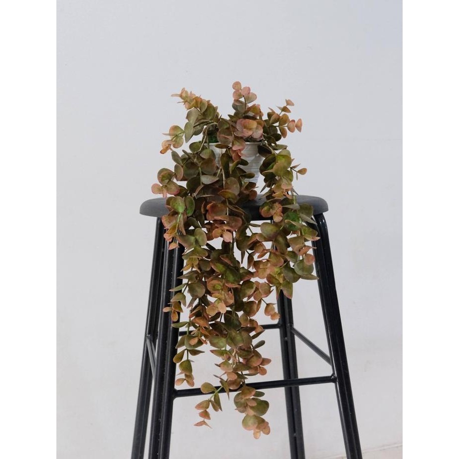 Tanaman Gantung Plastik Decoration